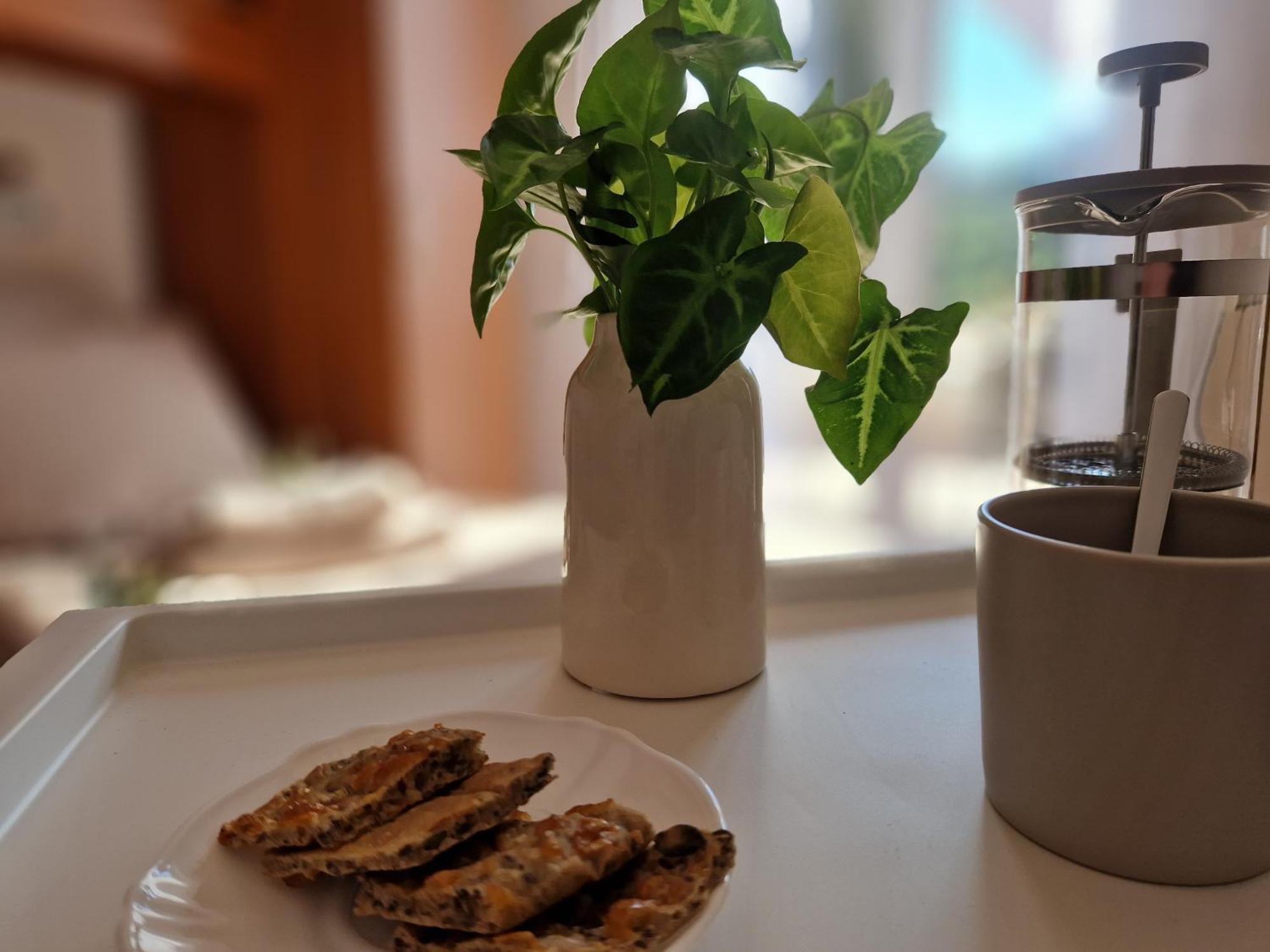 House Olive Garden Strunjan Apartment Bagian luar foto