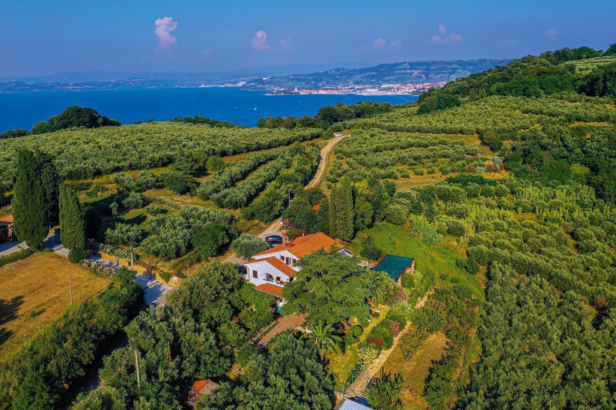 House Olive Garden Strunjan Apartment Bagian luar foto